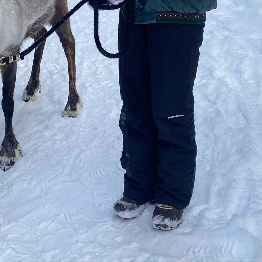 Skiing pant